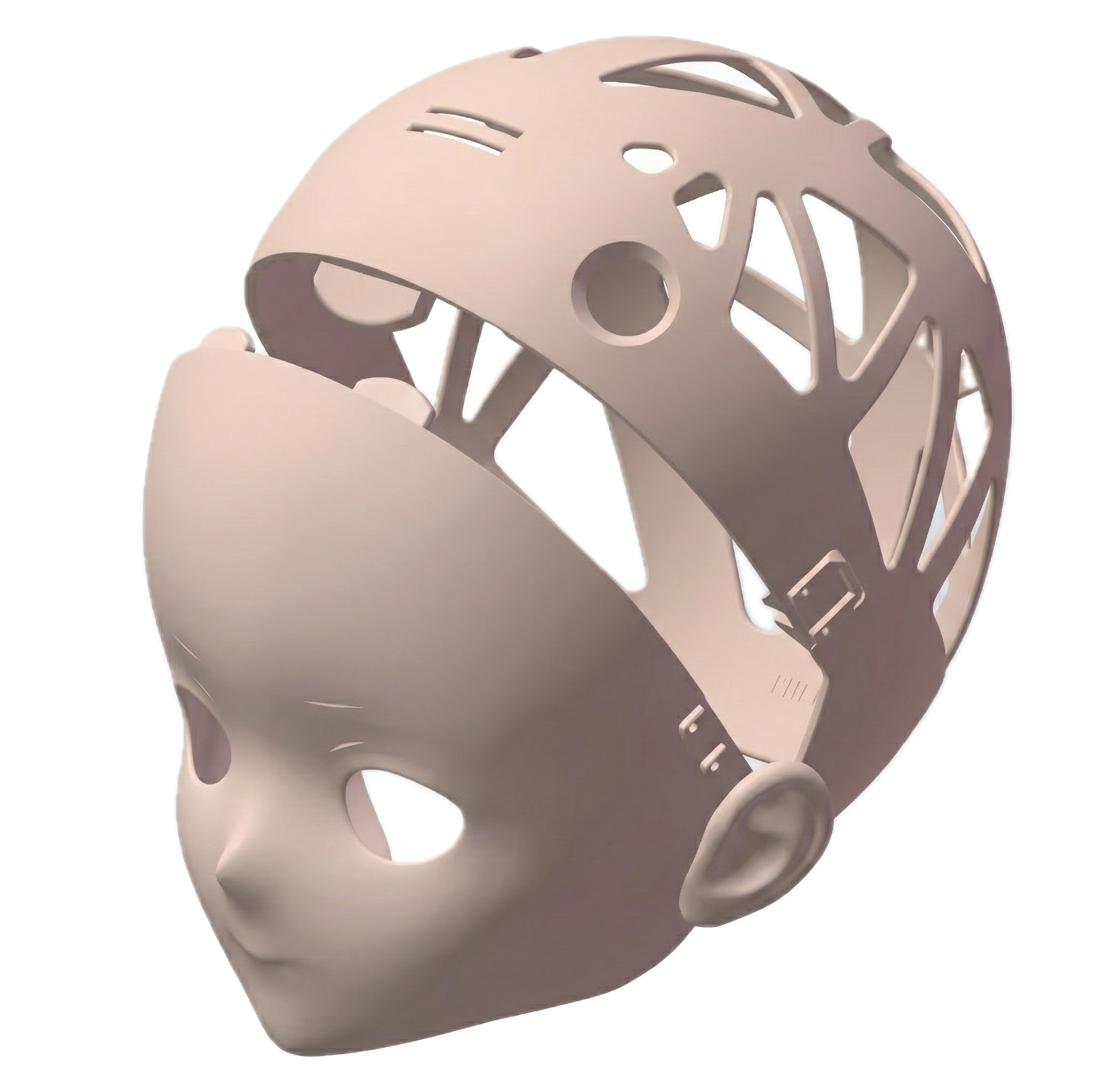 头壳结构 - 分解视图